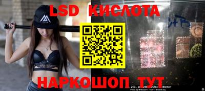 ГАЛЛЮЦИНОГЕННЫЕ ГРИБЫ Свободный