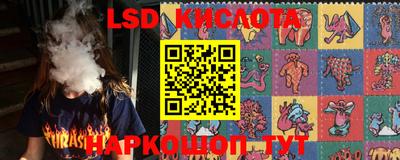 стаф Севастополь
