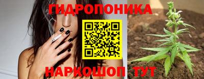 ГАЛЛЮЦИНОГЕННЫЕ ГРИБЫ Свободный