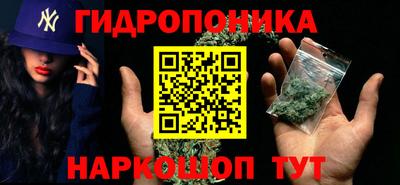 ГАЛЛЮЦИНОГЕННЫЕ ГРИБЫ Свободный